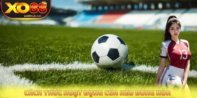 Kèo Đồng Nửa - Bí Quyết Soi Kèo Hiệu Quả Từ Cao Thủ Cược 3 Cách thức hoạt động của kèo đồng nửa